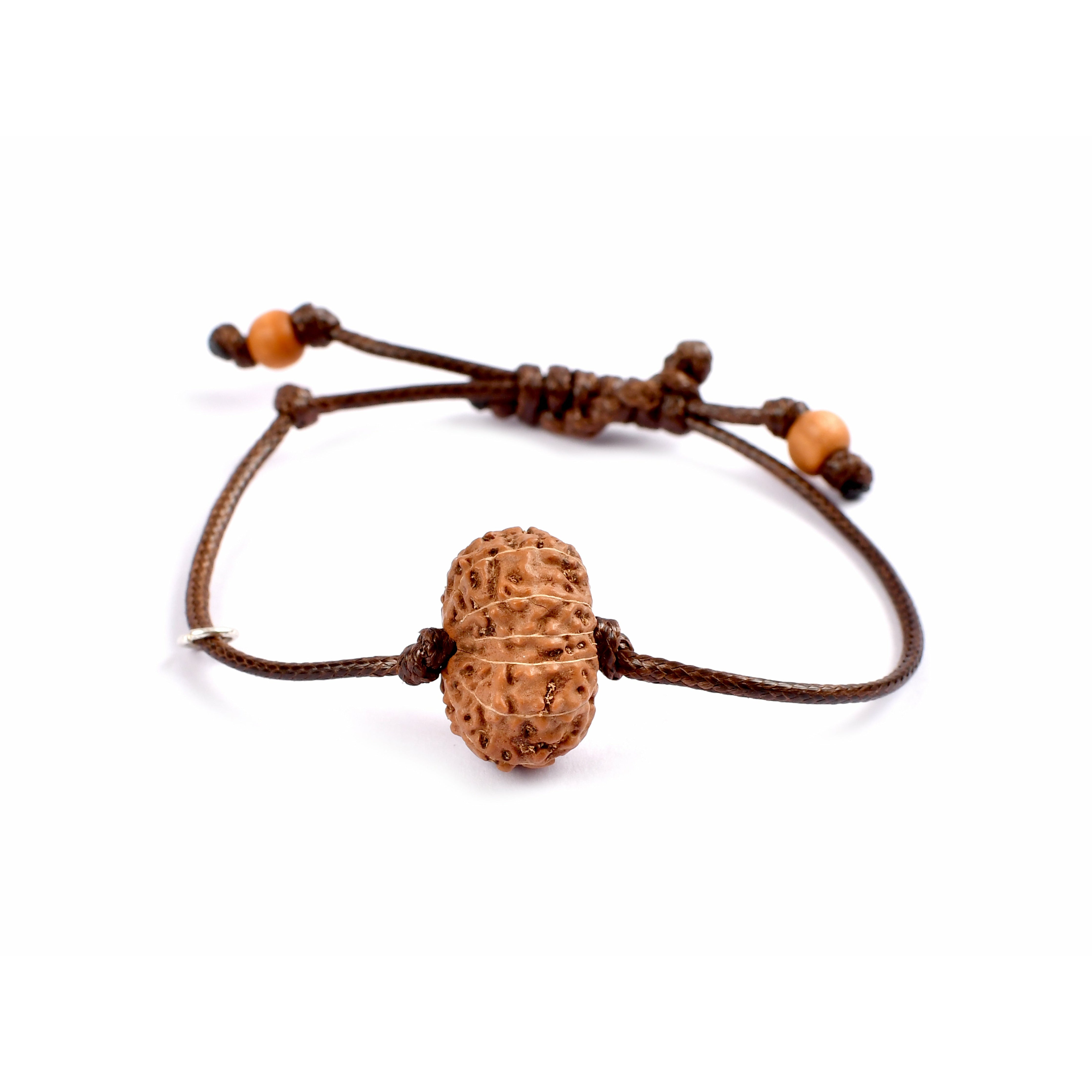 13-Augen-Rudraksha (Java)